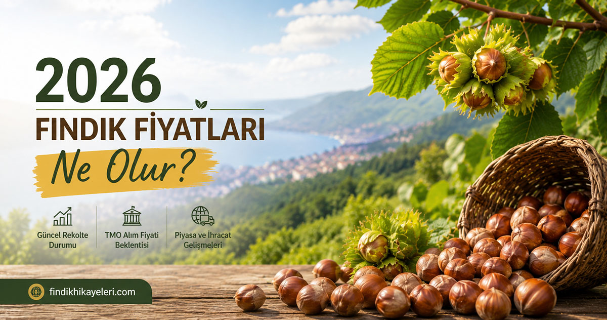 2026 Fındık Fiyatları Ne Olur?